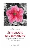 Ästhetische Welterfahrung