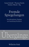 Fremde Spiegelungen