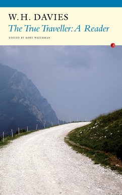 The True Traveller (eBook, ePUB) - Davies, W. H.