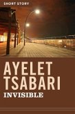 Invisible (eBook, ePUB) Invisible (eBook, ePUB)