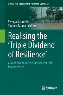 Realising the 'Triple Dividend of Resilience'