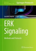 ERK Signaling