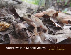 What Dwells in Middle Valley?: Volume 1 - Goessling, Alison