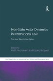 Non-State Actor Dynamics in International Law