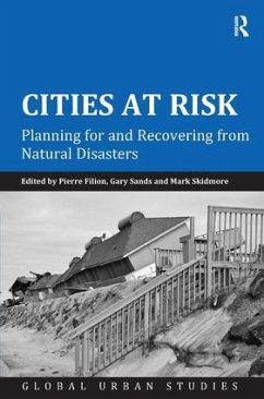 Cities at Risk - Filion, Pierre; Sands, Gary