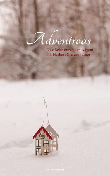 Adventroas (eBook, ePUB)