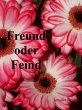 Freund oder Feind (eBook, ePUB) - Bild 1