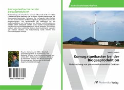 Komagataeibacter bei der Biogasproduktion
