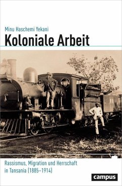 Koloniale Arbeit (eBook, PDF) - Haschemi Yekani, Minu