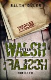 FALSCH / Peter Walsh Bd.2 (eBook, ePUB)