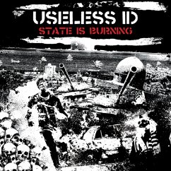 The State Is Burning - Useless Id
