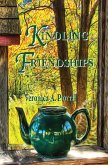 Kindling Friendships (eBook, ePUB)