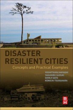 Disaster Resilient Cities - Hayashi, Yoshitsugu;Suzuki, Yasuhiro;Sato, Shinji