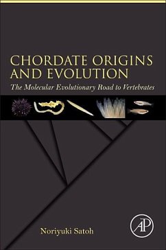 Chordate Origins and Evolution - Satoh, Noriyuki