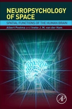 Neuropsychology of Space - Postma, Albert;van der Ham, Ineke J. M.