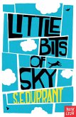 Little Bits of Sky (eBook, ePUB)