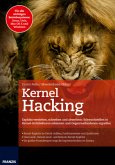 Kernel Hacking