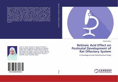 Retinoic Acid Effect on Postnatal Development of Rat Olfactory System