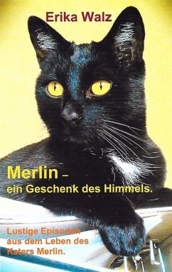 Merlin - ein Geschenk des Himmels. (eBook, ePUB)