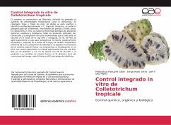 Control integrado in vitro de Colletotrichum tropicale - Plancarte Galán, Pedro Jesús;Ayvar Serna, Sergio;Díaz Nájera, José F.