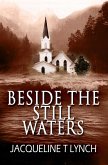 Beside the Still Waters (eBook, ePUB)