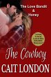 The Cowboy (eBook, ePUB) - Bild 1
