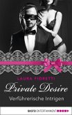 Verführerische Intrigen / Private Desire Bd.3 (eBook, ePUB)