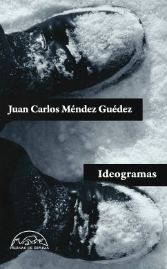 Ideogramas (eBook, ePUB) - Méndez Guédez, Juan Carlos