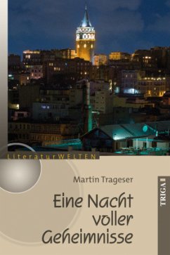 Eine Nacht voller Geheimisse - Trageser, Martin