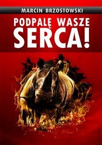 Podpalę wasze serca! (eBook, ePUB) - Brzostowski, Marcin