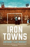 Iron Towns (eBook, ePUB)