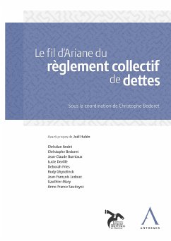 Le fil d'Ariane du règlement collectif de dettes (eBook, ePUB) - Anthemis; Collectif