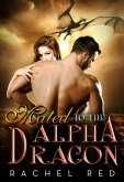 Mated To The Alpha Dragon (BWWM Romance) (eBook, ePUB)