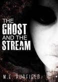 The Ghost and the Stream (Miki Radicci, #9) (eBook, ePUB)