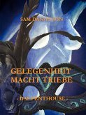Gelegenheit macht Triebe - Das Penthouse (eBook, ePUB)