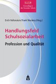 Handlungsfeld Schulsozialarbeit (eBook, PDF)