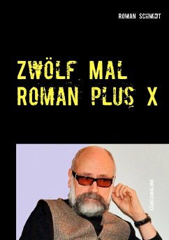 Zwölf Mal Roman plus X (eBook, ePUB) - Schmidt, Roman