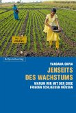 Jenseits des Wachstums (eBook, ePUB)