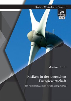 Risiken in der deutschen Energiewirtschaft. Ein Risikomanagement für die Energiewende - Stoll, Marina