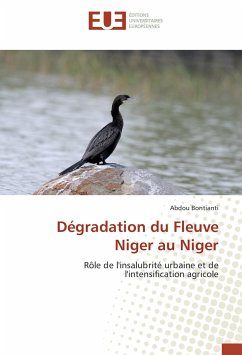 Dégradation du Fleuve Niger au Niger - Bontianti, Abdou