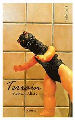 Cover Terrain (eBook, ePUB)