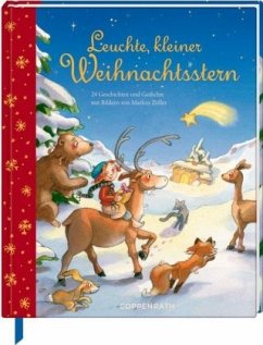 Leuchte, kleiner Weihnachtsstern!