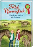 Wildpferde suchen ein Zuhause / Fritzi Pferdeglück Bd.7