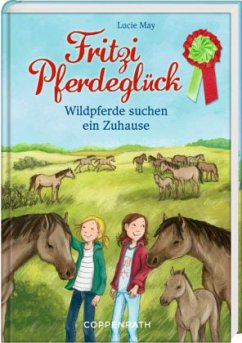 Wildpferde suchen ein Zuhause / Fritzi Pferdeglück Bd.7 - May, Lucie