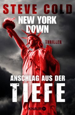 New York down - Anschlag aus der Tiefe - Cold, Steve