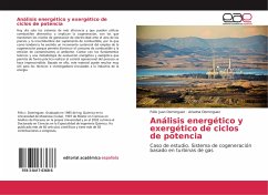 Análisis energético y exergético de ciclos de potencia - Dominguez, Félix Juan;Dominguez, Ariadna