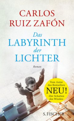 Das Labyrinth der Lichter: Roman