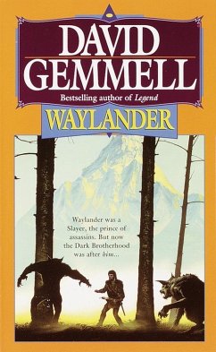 Waylander (eBook, ePUB) - Gemmell, David