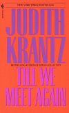Till We Meet Again (eBook, ePUB)