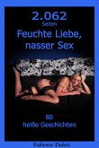 2062 Seiten Feuchte Liebe, nasser Sex (eBook, ePUB)